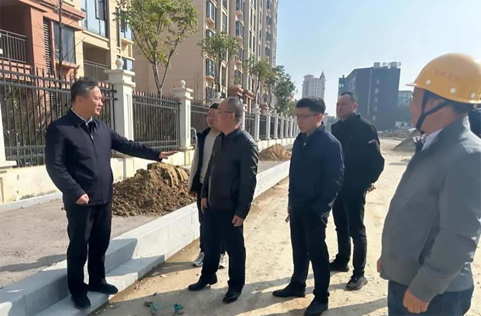 青山湖區(qū)黨委副書記、區(qū)長楊育星到利民路項目調(diào)研